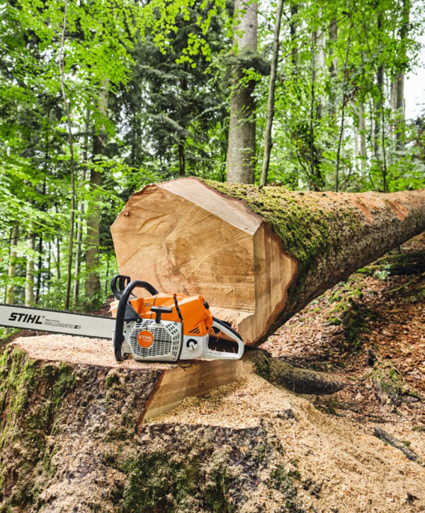 Stihl motorsåg för skogsarbete
